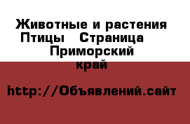 Животные и растения Птицы - Страница 3 . Приморский край